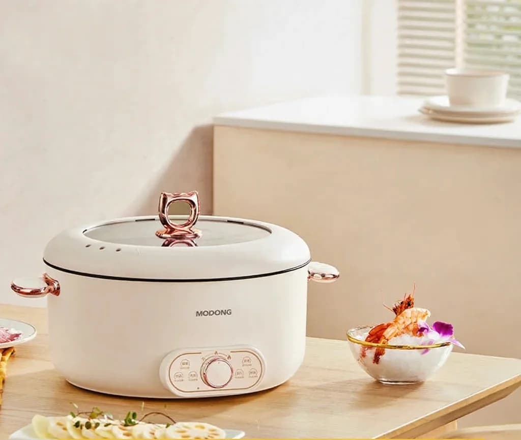 Ηλεκτρική κατσαρόλα hot pot 6L με καλάθι ατμού, αντικολλητική